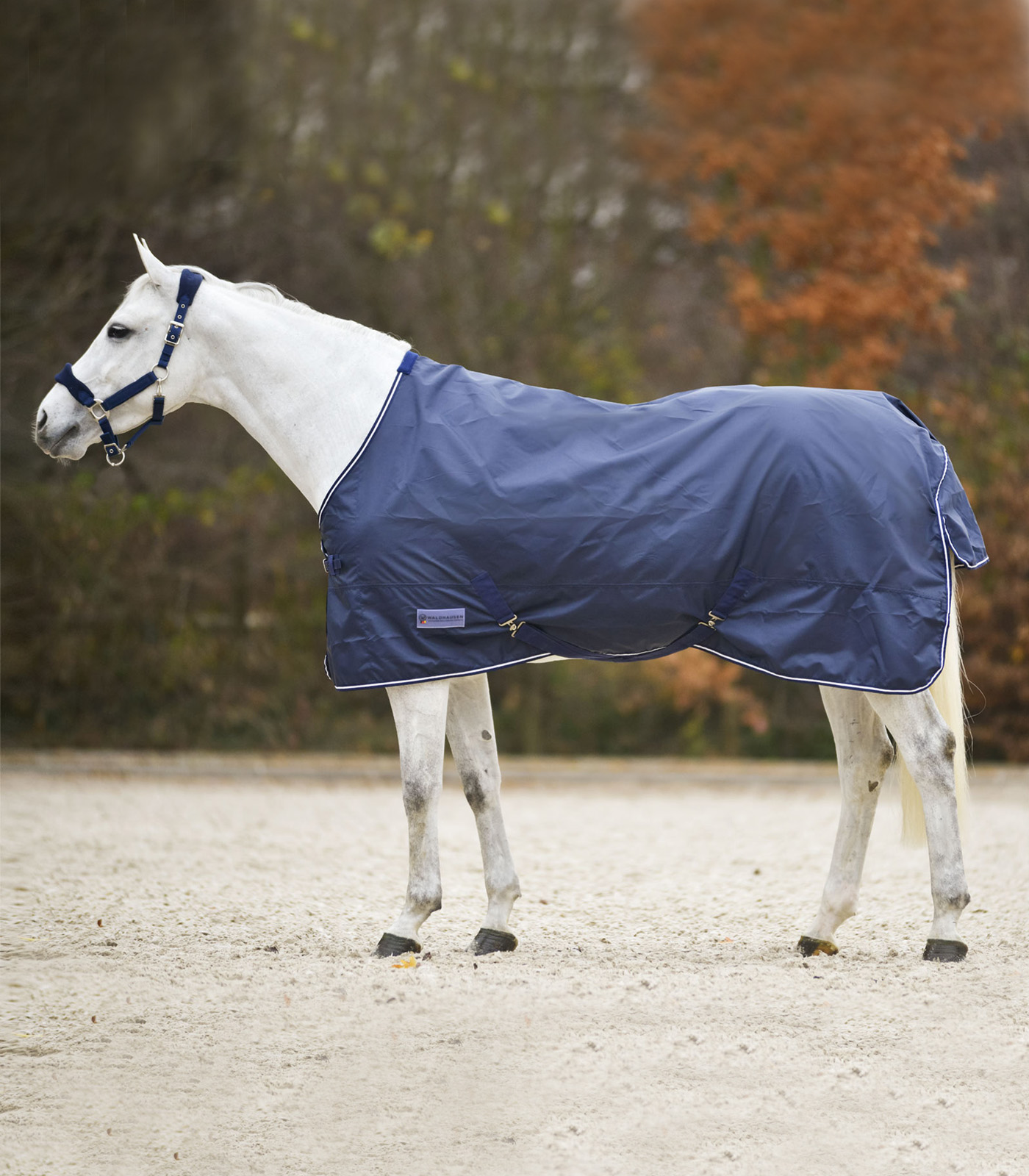 Waldhausen výběhová deka nepromokavá Economic 0 g night blue 145 cm
