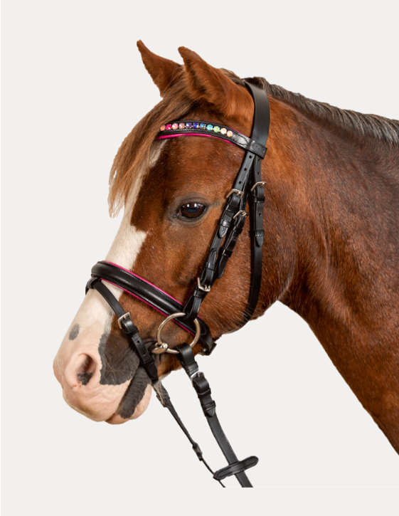 Waldhausen Uzdečka Pinky STAR, pony