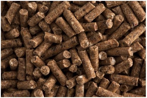 St. Hippolyt Biotin Pro zdravá kopyta 1 kg