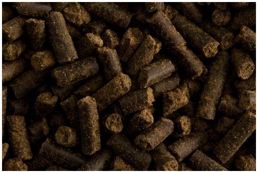 St. Hippolyt Equilizer 1 kg