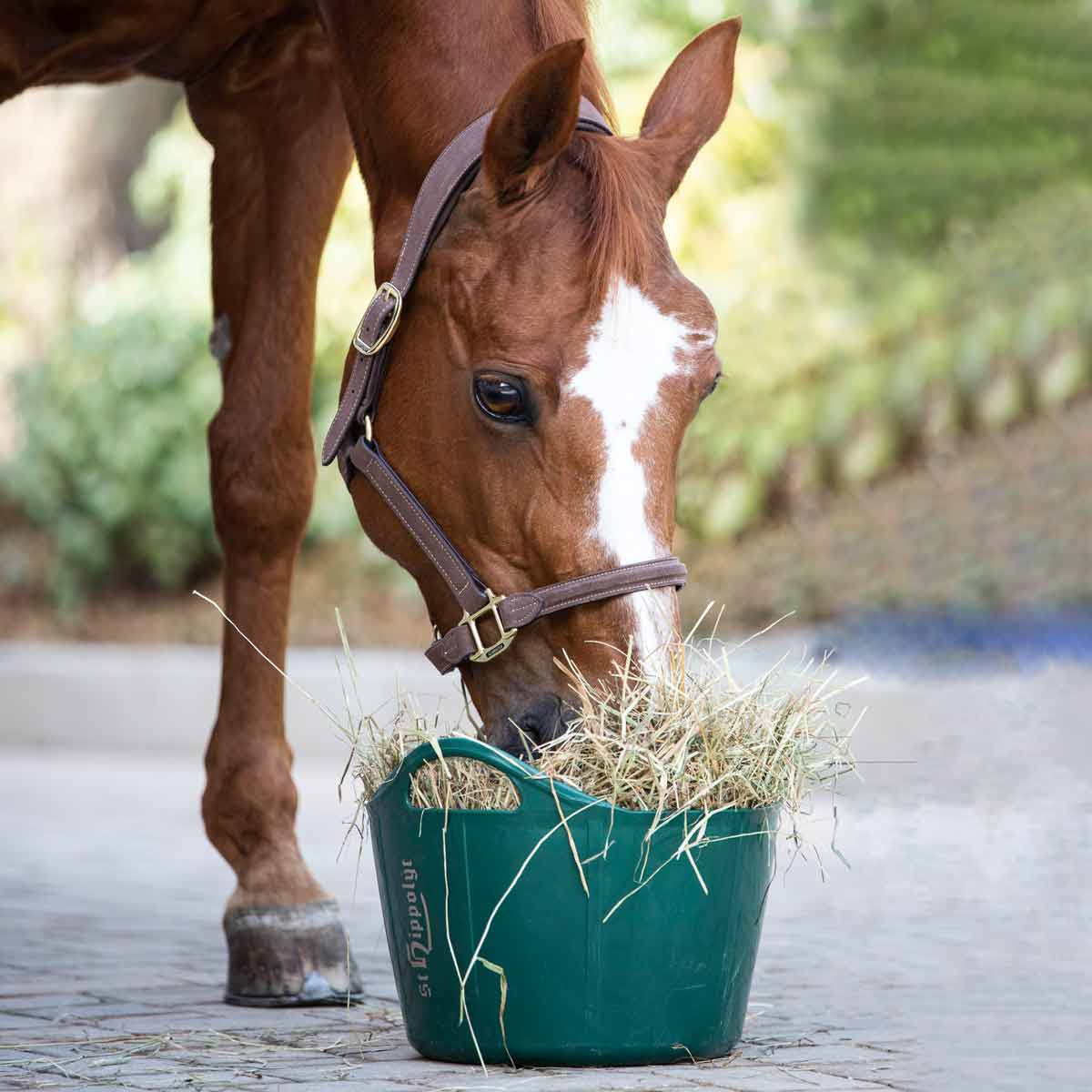 St. Hippolyt Plastové vědro 17 l
