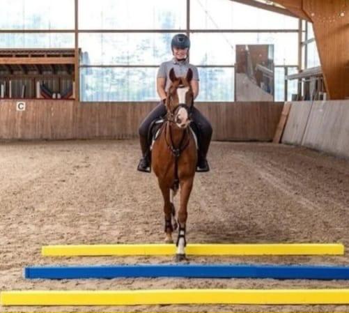 Pěnová bariéra 1ks modrá