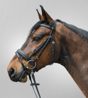 WALDHAUSEN Uzdečka Star