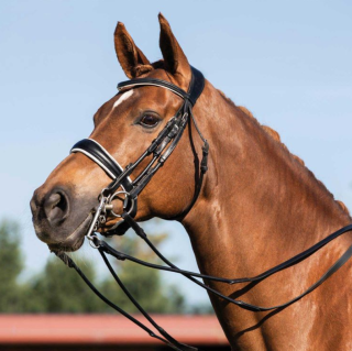 Acavallo Uzda Gioconda Kožená