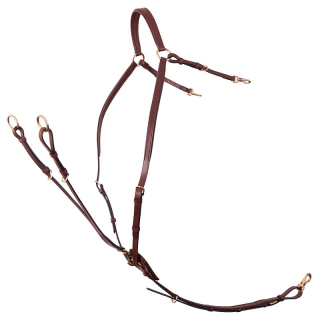 BR Poprsník Rayleigh, Tobacco, Full